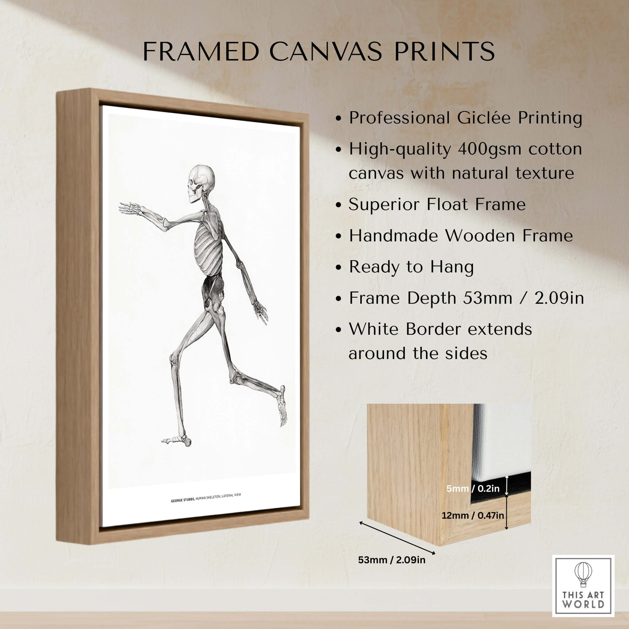 Exhibition Art Print George Stubbs Human Skeleton Lateral View Anatomy Poster framed print with wooden frame and white border