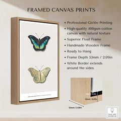 Exhibition Art Print Georgius van Os Two Butterflies Vintage Entomological Poster framed with natural wood and white border.