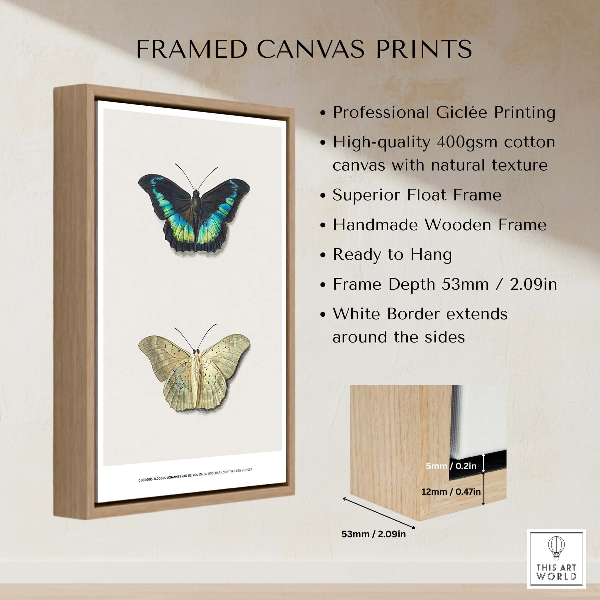 Exhibition Art Print Georgius van Os Two Butterflies Vintage Entomological Poster framed with natural wood and white border.