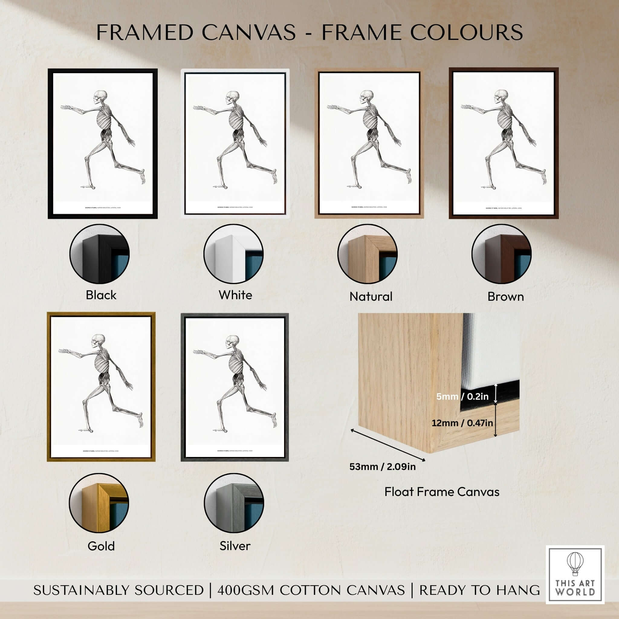 Framed canvas colors options showcasing anatomical art prints featuring human skeleton illustrations.