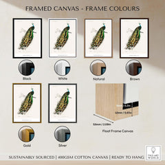 Exhibition Art Print Charles d'Orbigny Indian Peafowl Vintage Bird Illustration Wall Art framed canvas options