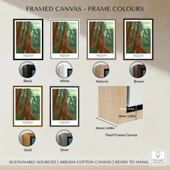 Sequoia tree wall art print in six frame color options: black, white, natural, brown, gold, silver.