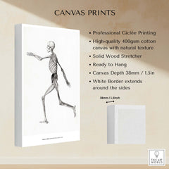 Exhibition Art Print George Stubbs Human Skeleton Lateral View Anatomy Poster with professional Giclée printing.