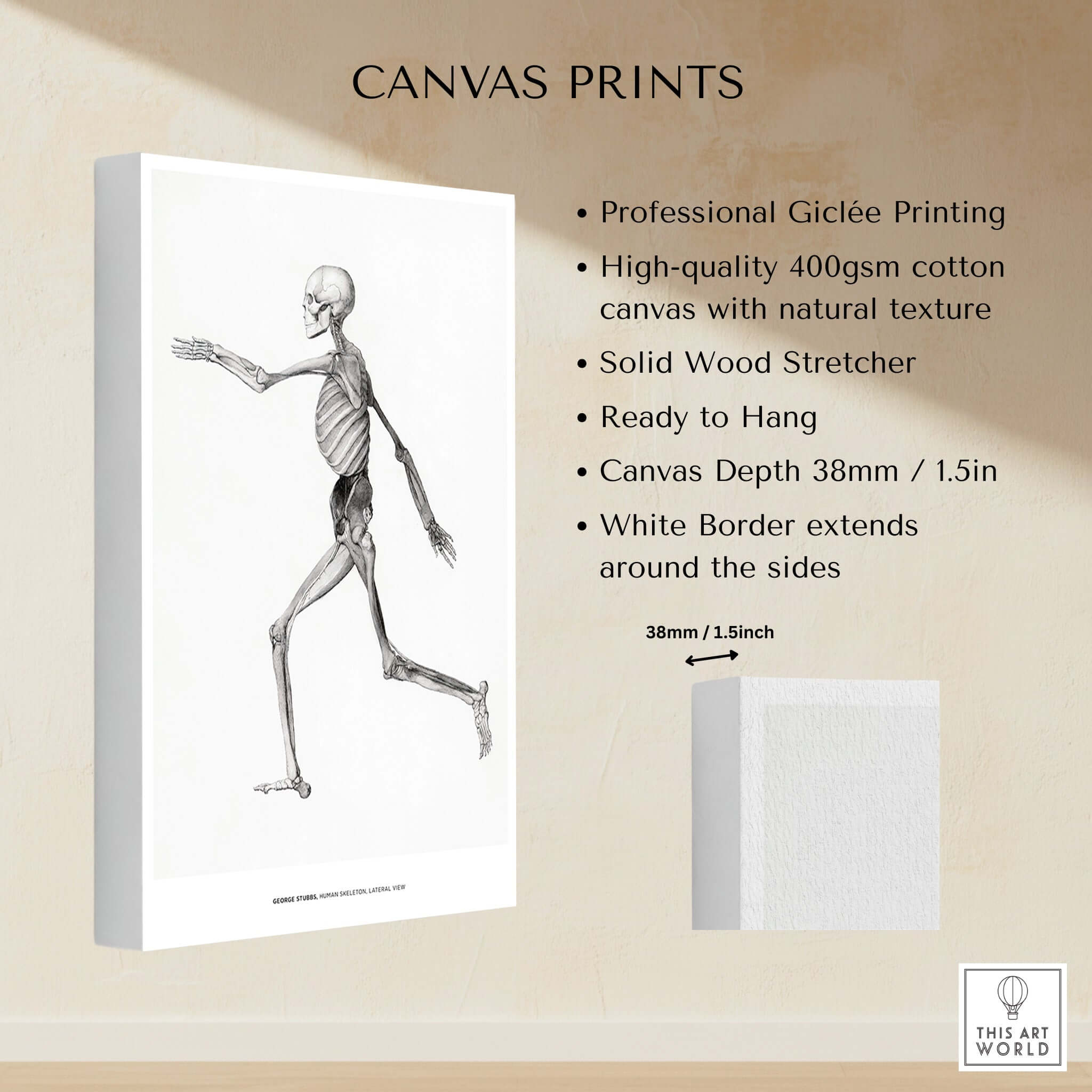Exhibition Art Print George Stubbs Human Skeleton Lateral View Anatomy Poster with professional Giclée printing.