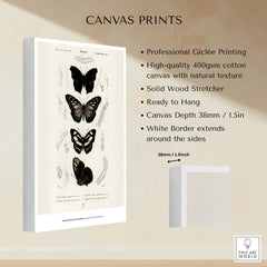 Exhibition Art Print Charles d'Orbigny Butterflies Vintage Entomology Poster Wall Art on canvas with white border and professional finish.