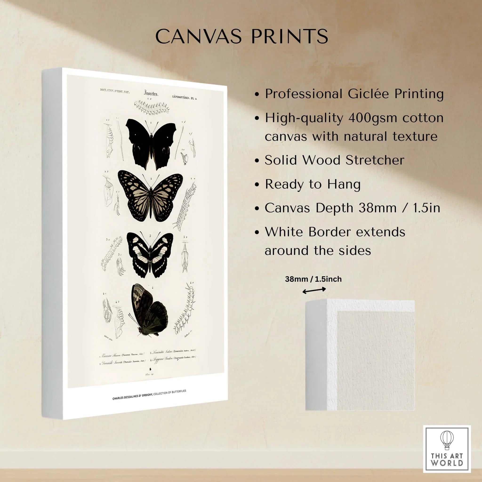 Exhibition Art Print Charles d'Orbigny Butterflies Vintage Entomology Poster Wall Art on canvas with white border and professional finish.