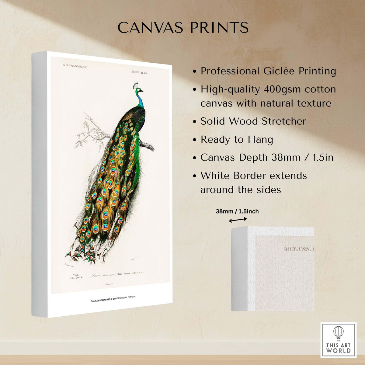 Exhibition Art Print Charles d'Orbigny Indian Peafowl Vintage Bird Illustration Wall Art on canvas with professional Giclée printing.