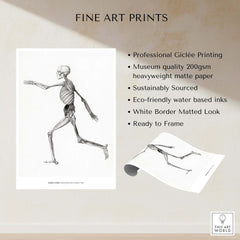 Exhibition Art Print George Stubbs Human Skeleton Lateral View Anatomy Poster on museum quality paper.