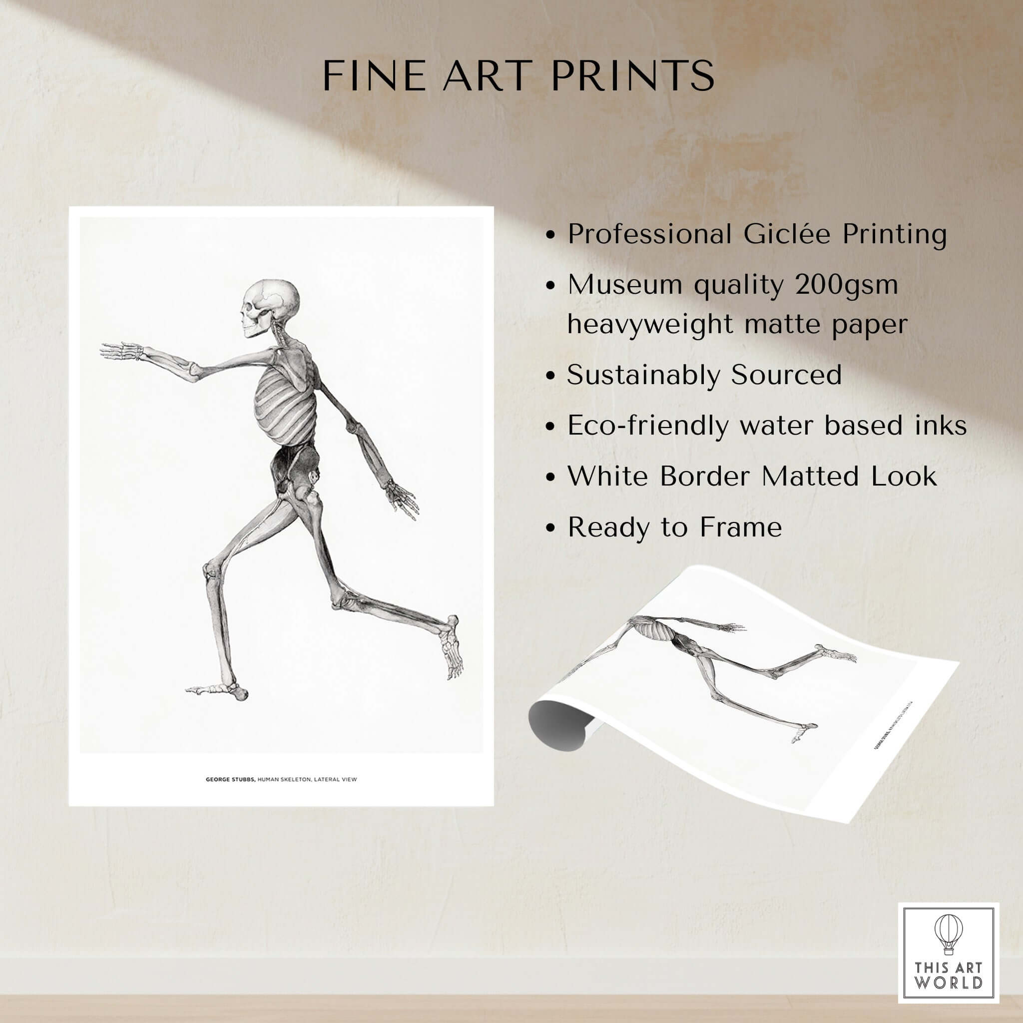 Exhibition Art Print George Stubbs Human Skeleton Lateral View Anatomy Poster on museum quality paper.