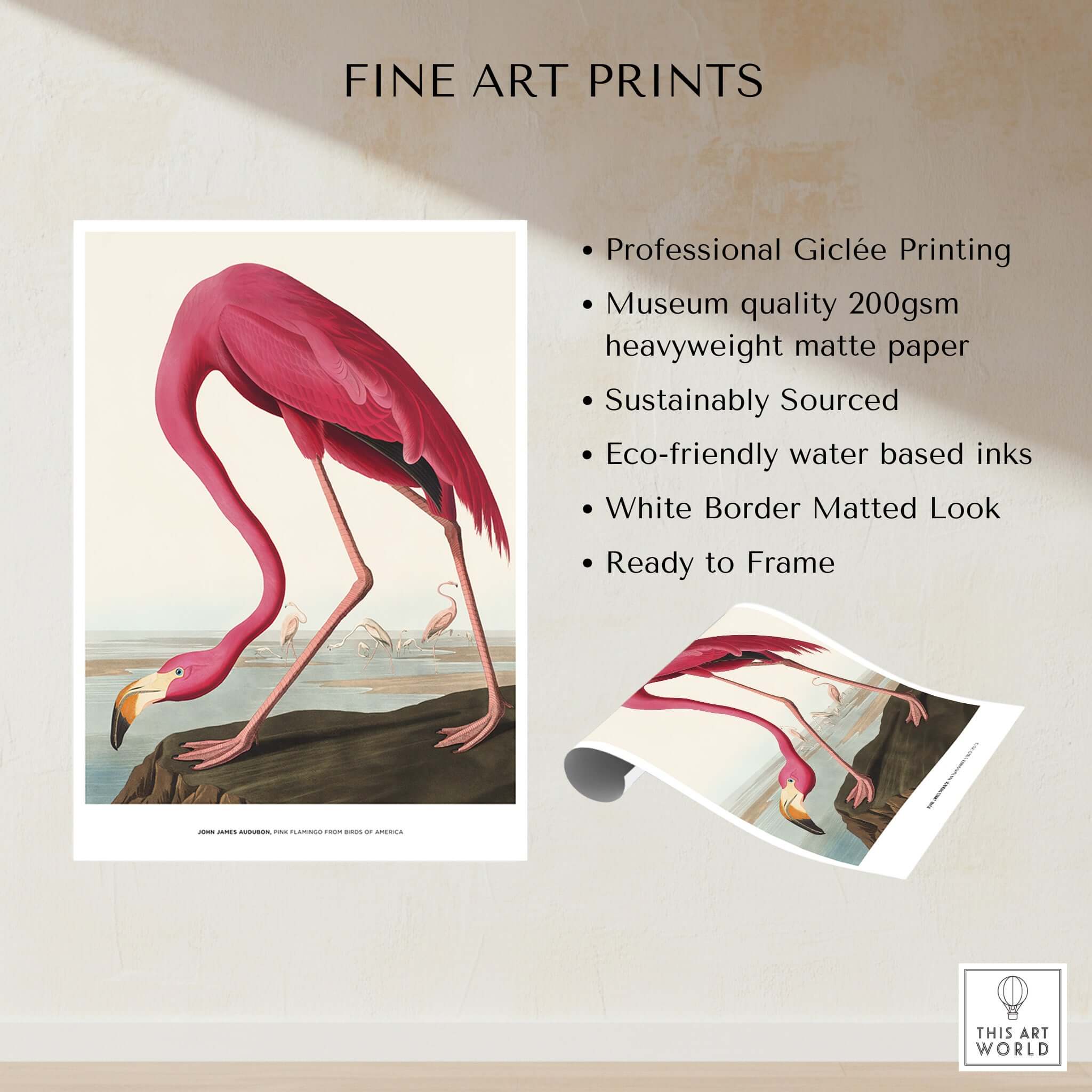 Exhibition Art Print Pink Flamingo Birds of America Vintage Bird Poster - John James Audubon features professional Giclée printing.