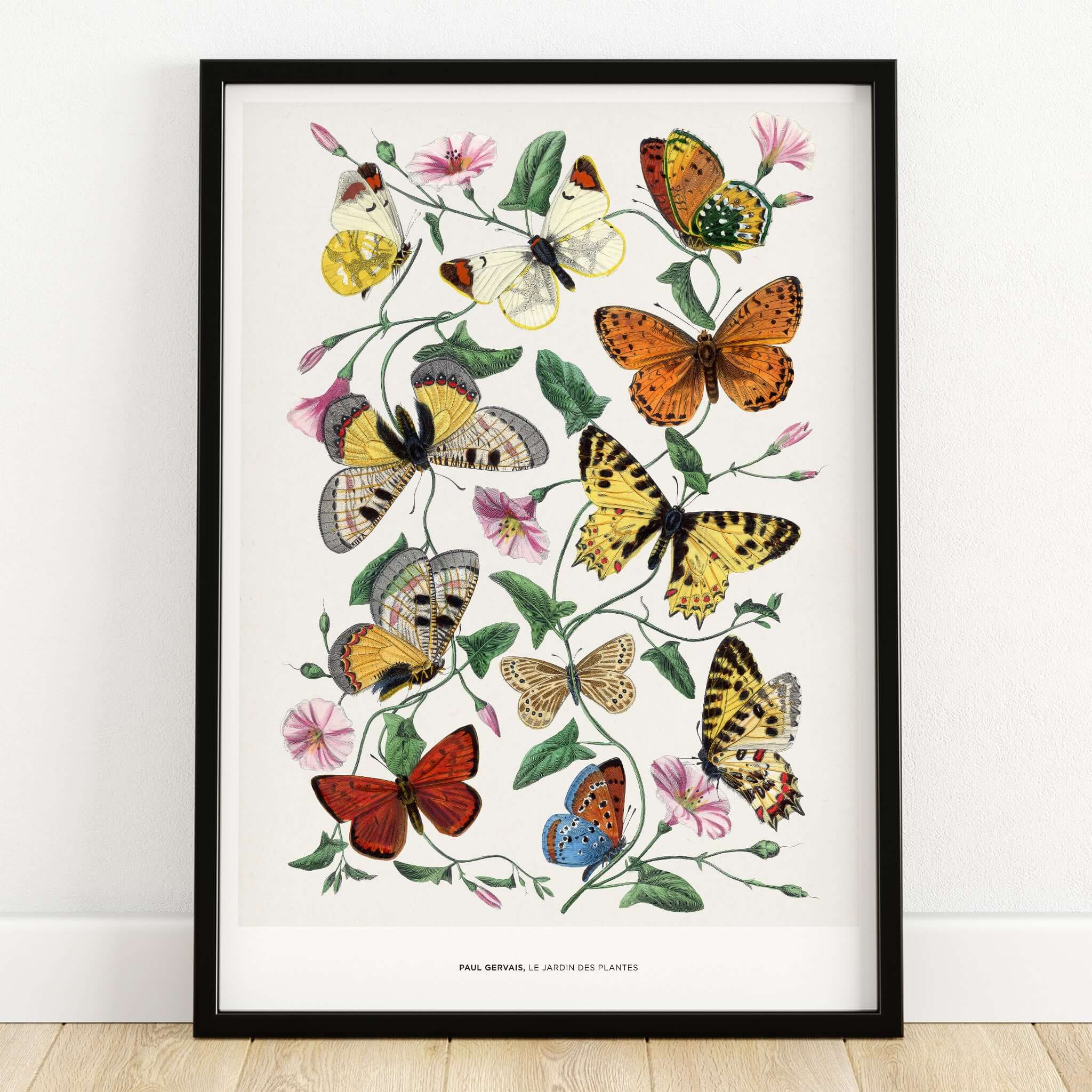 Paul Servais Butterflies Le Jardin des Plantes Vintage Botanical Wall Art showcasing colorful butterflies and flowers.