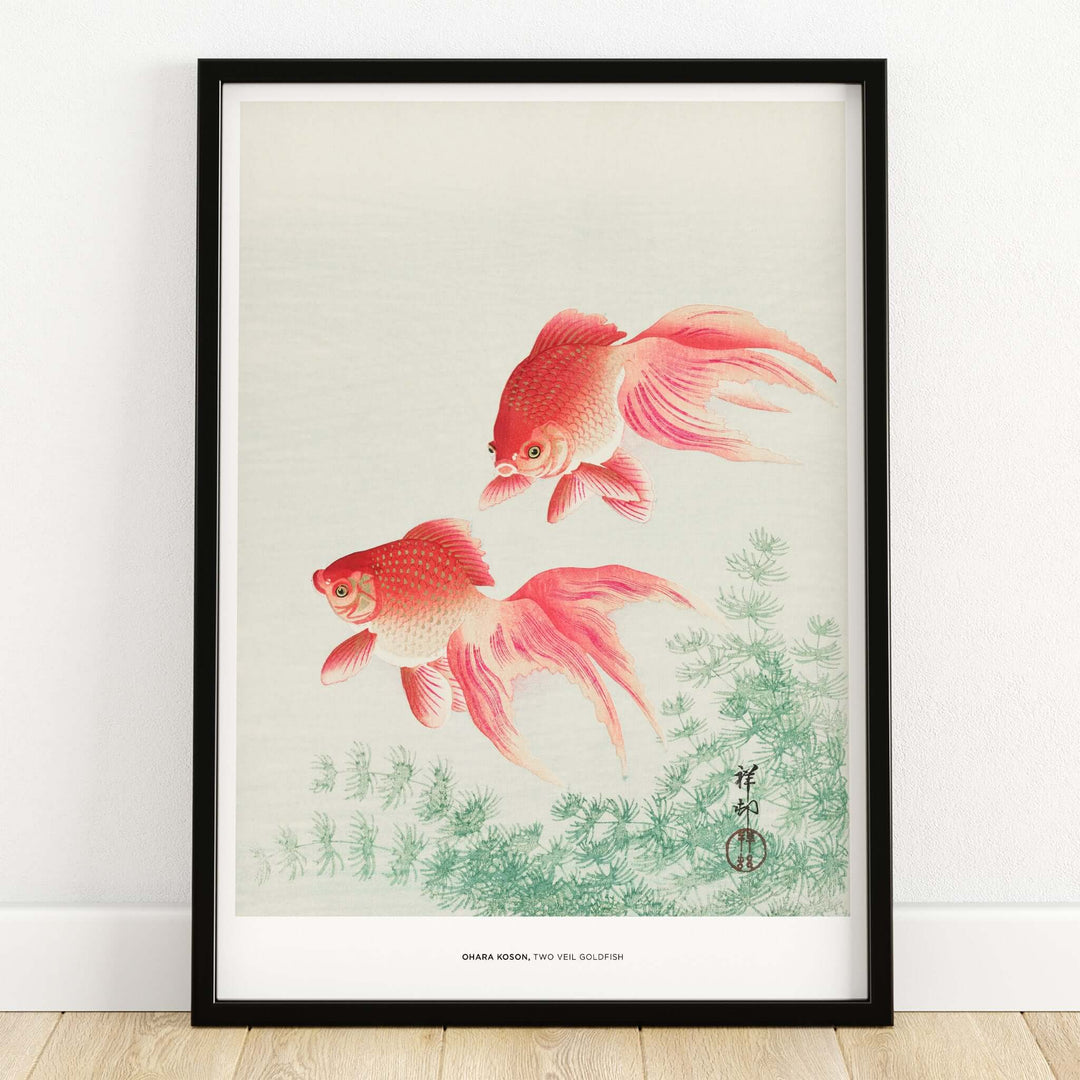 Exhibition Art Print Ohara Koson Two Veil Goldfish Japanese Fish Poster featuring two goldfish swimming gracefully.