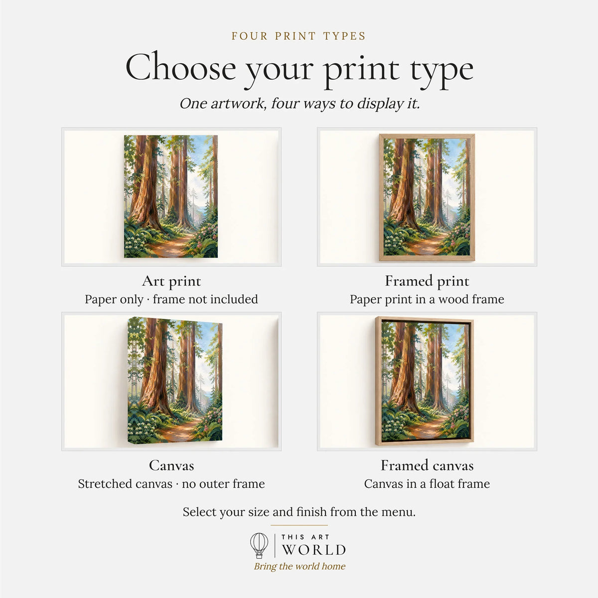 Redwood giant redwoods and forest trail watercolour art print, print type options: art print, framed print or canvas