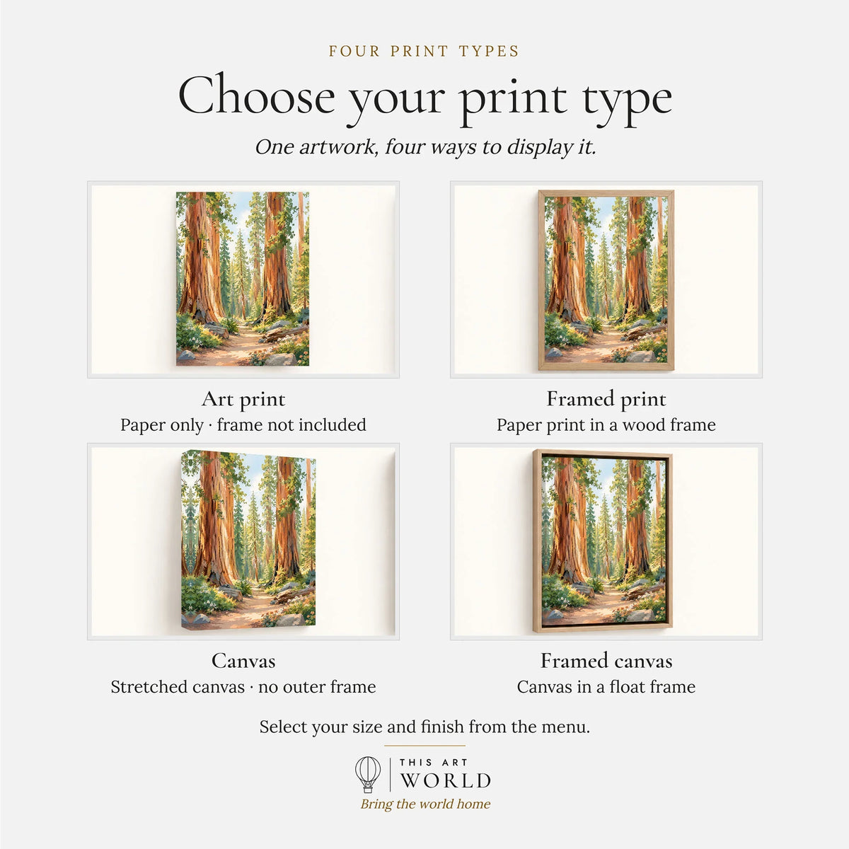 Sequoia giant sequoias and forest trail watercolour art print, print type options: art print, framed print or canvas