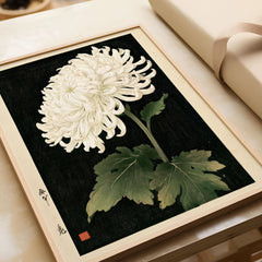 White Chrysanthemum Wall Art – Black Japanese Botanical Print — framed art print closeup gift unwrapped natural frame