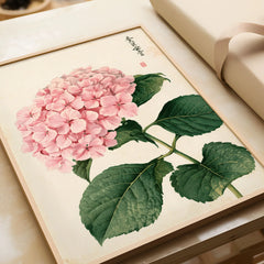 Pink Hydrangea Art Print – Vintage Japanese Botanical Wall Art — framed art print closeup gift unwrapped natural frame