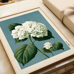 White Hydrangea Wall Art – Blue Japanese Botanical Print — framed art print closeup gift unwrapped natural frame
