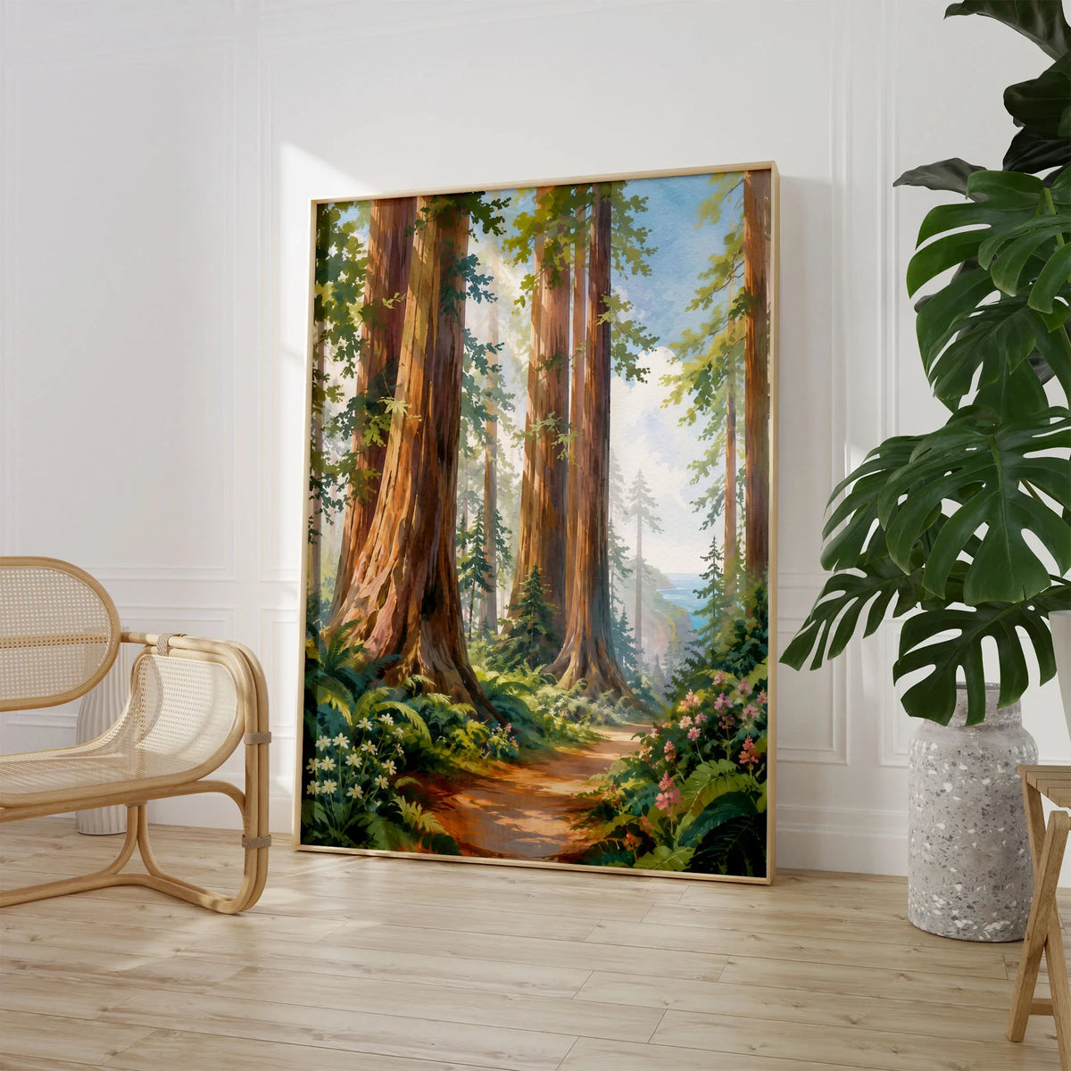 Redwood National Park giant redwoods and forest trail watercolour art print large framed print beside a chair and plant