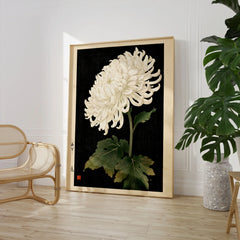 White Chrysanthemum Wall Art – Black Japanese Botanical Print — large framed print room setting chair plant