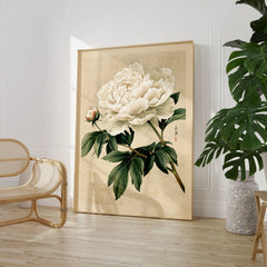 White Peony Art Print – Vintage Japanese Botanical Wall Art — large framed print room setting chair plant