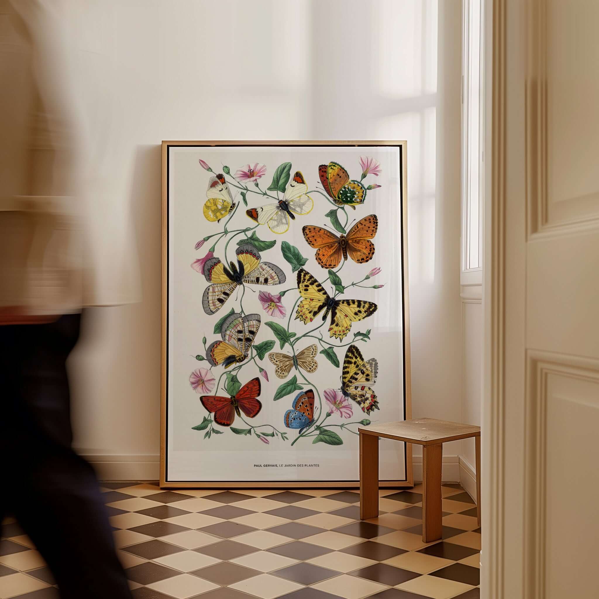 Paul Servais Butterflies Le Jardin des Plantes Vintage Botanical Wall Art featuring colorful butterflies and flowers.