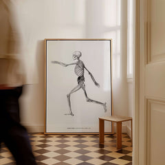 Exhibition Art Print George Stubbs Human Skeleton Lateral View Anatomy Poster displayed in a stylish interior setting.
