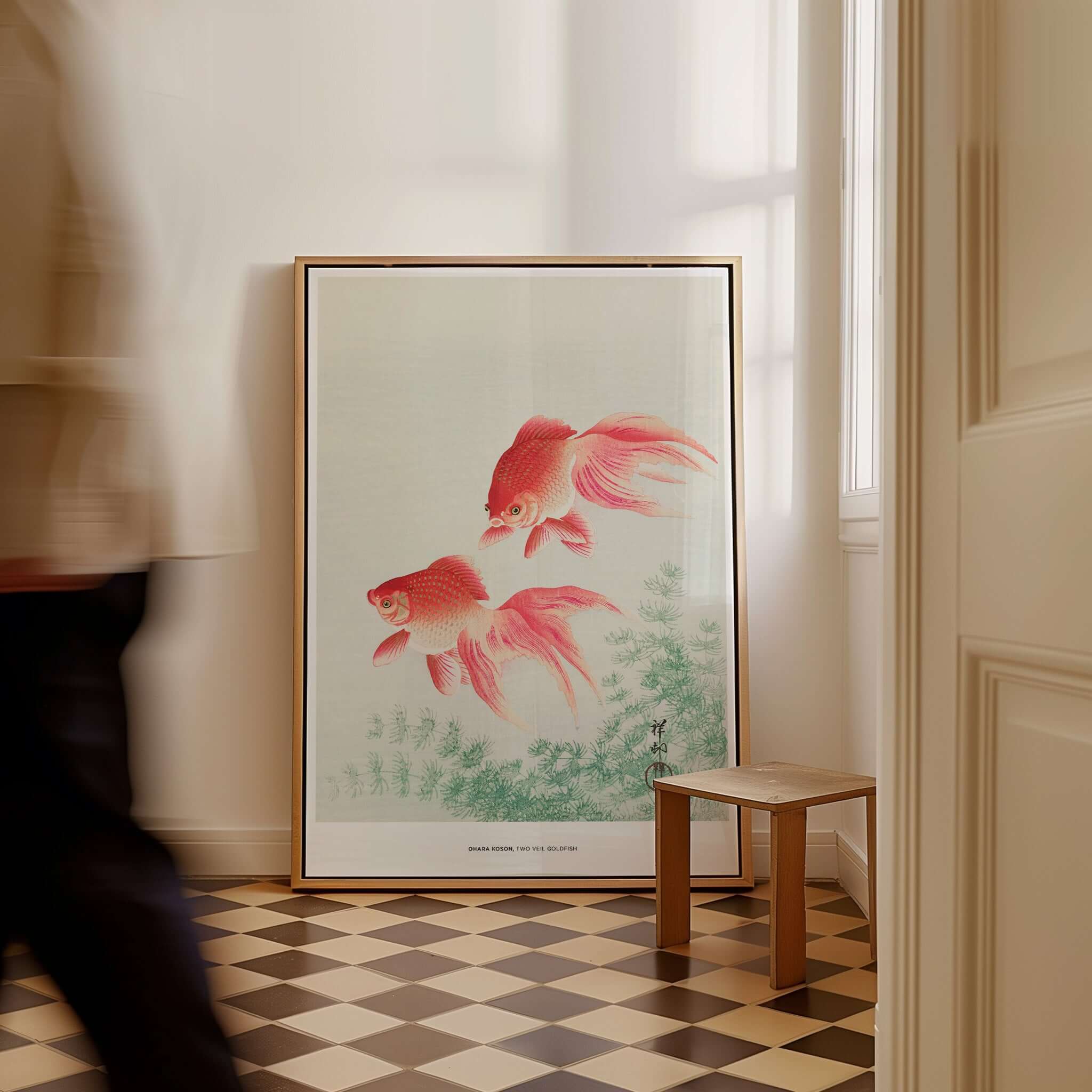 Exhibition Art Print Ohara Koson Two Veil Goldfish Japanese Fish Poster displayed in a stylish interior with a person passing by.