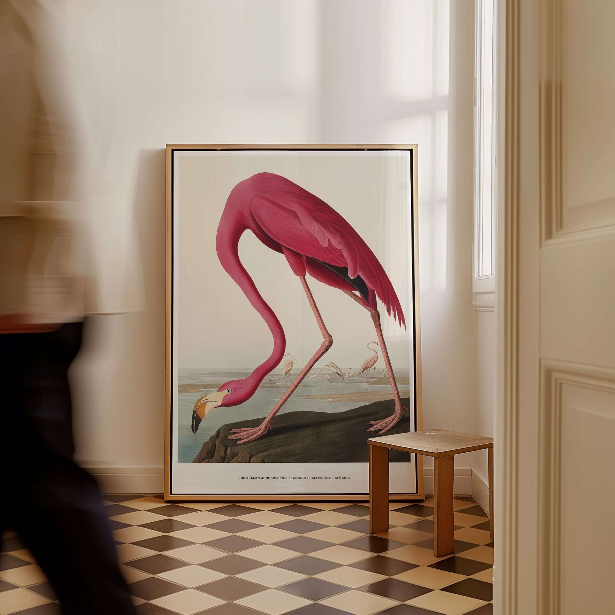 Exhibition Art Print Pink Flamingo Birds of America Vintage Bird Poster - John James Audubon in a home setting.
