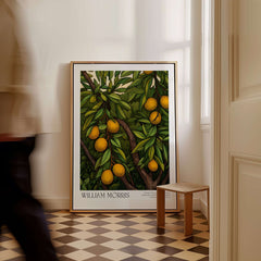 William Morris Prints - Illustrated Orange Tree Art Print - Botanical Fruit Poster displayed in stylish room.
