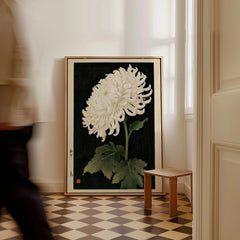 White Chrysanthemum Wall Art – Black Japanese Botanical Print — framed canvas on floor man walking past