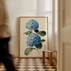 Blue Hydrangea Art Print – Japanese Botanical Wall Art — framed canvas on floor man walking past