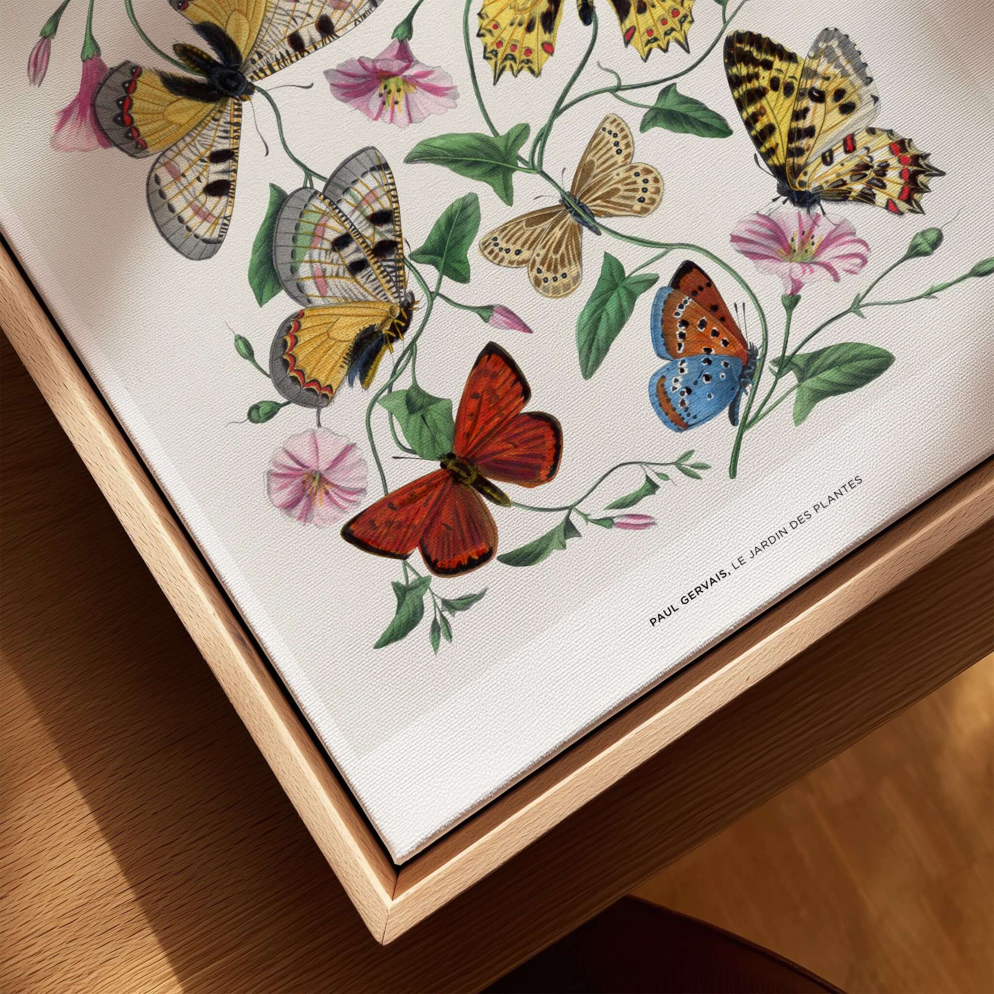 Paul Servais Butterflies Le Jardin des Plantes Vintage Botanical Wall Art featuring colorful butterflies and flowers.
