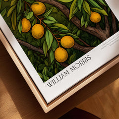 William Morris Prints - Illustrated Orange Tree Art Print - Botanical Fruit Poster with vibrant oranges and green leaves.