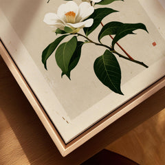 Camellia Art Print – Vintage Japanese Flower Wall Art — closeup framed canvas natural wood floating frame