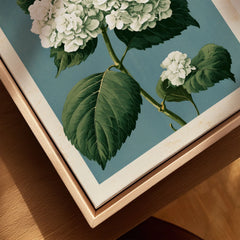White Hydrangea Wall Art – Blue Japanese Botanical Print — closeup framed canvas natural wood floating frame