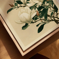 Magnolia Wall Art – Vintage Japanese Botanical Print — closeup framed canvas natural wood floating frame