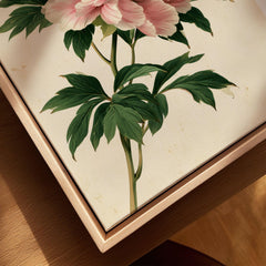 Pink Peony Art Print – Japanese Botanical Wall Art — closeup framed canvas natural wood floating frame
