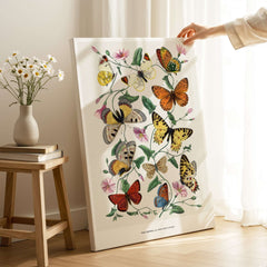 Paul Servais Butterflies Le Jardin des Plantes Vintage Botanical Wall Art featuring colorful butterflies and flowers.