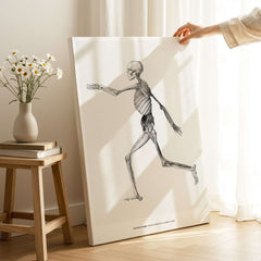 Exhibition Art Print George Stubbs Human Skeleton Lateral View Anatomy Poster displayed on an easel in a bright room.