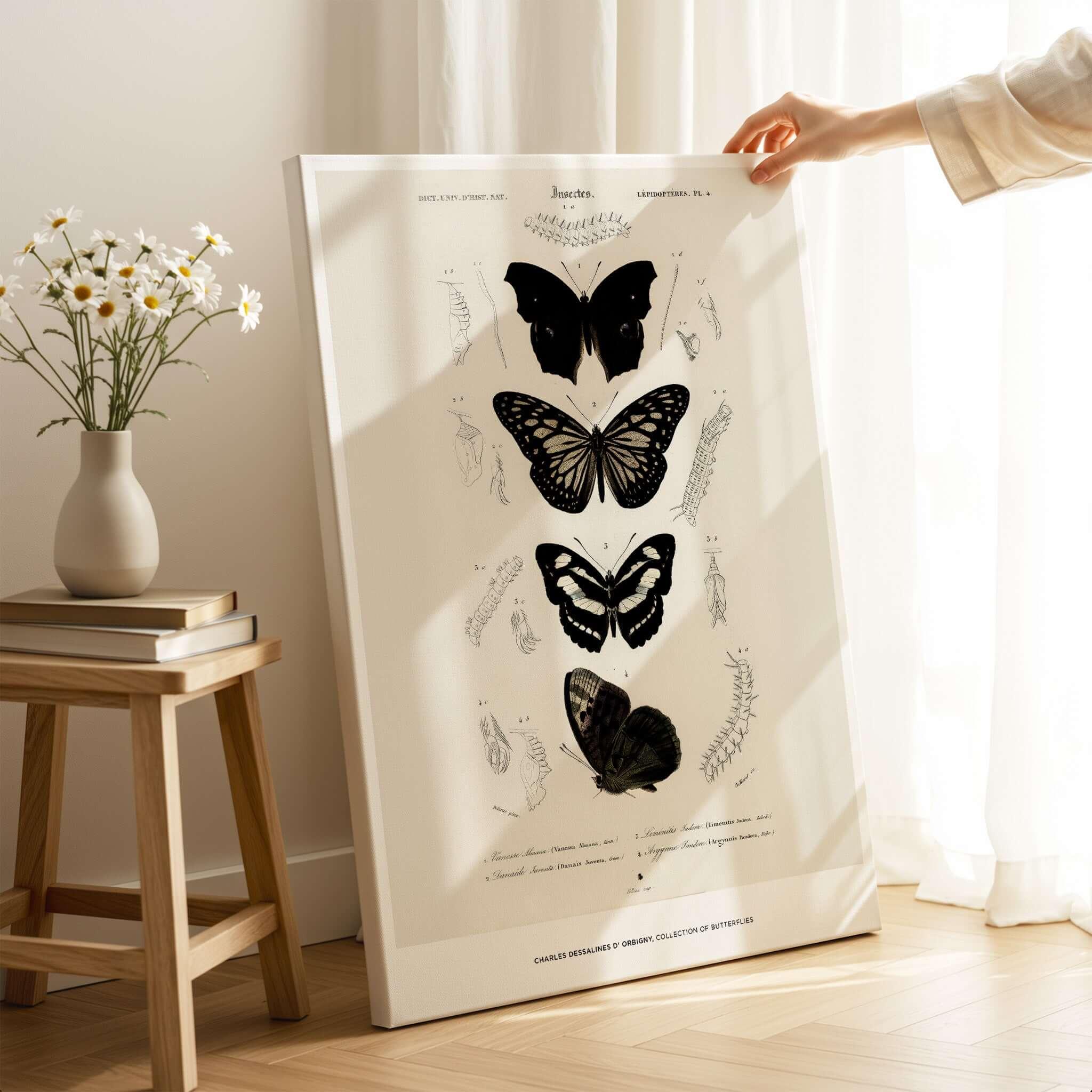 Exhibition Art Print Charles d'Orbigny Butterflies Vintage Entomology Poster Wall Art displayed in a bright room with flowers.