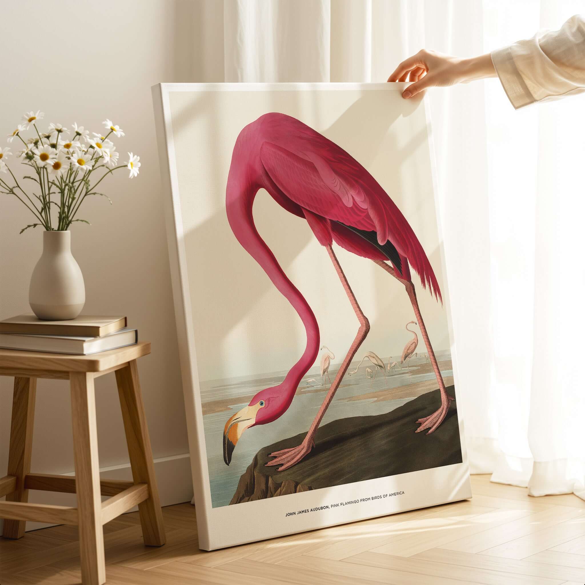 Exhibition Art Print Pink Flamingo Birds of America Vintage Bird Poster - John James Audubon displayed in a living room.