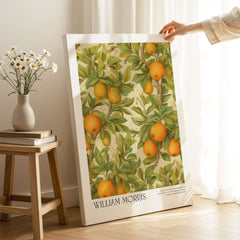 William Morris Prints - Orange Grove Fruit Tree Art Print - Botanical Poster featuring ripe oranges and lush green leaves.