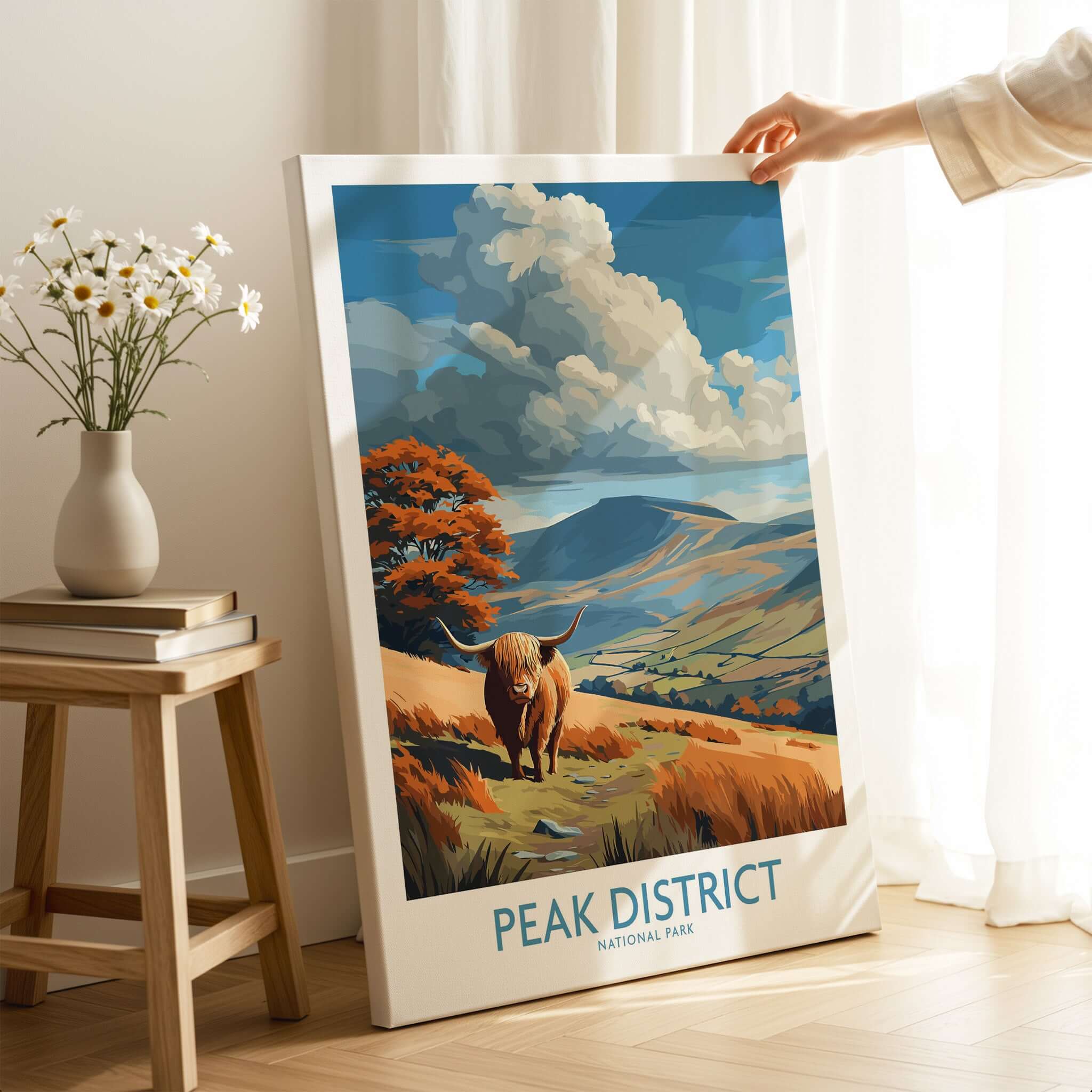 Peak District National Park Highland Cattle Art Print | Rolling Hills Poster featuring Highland cattle in picturesque landscape.