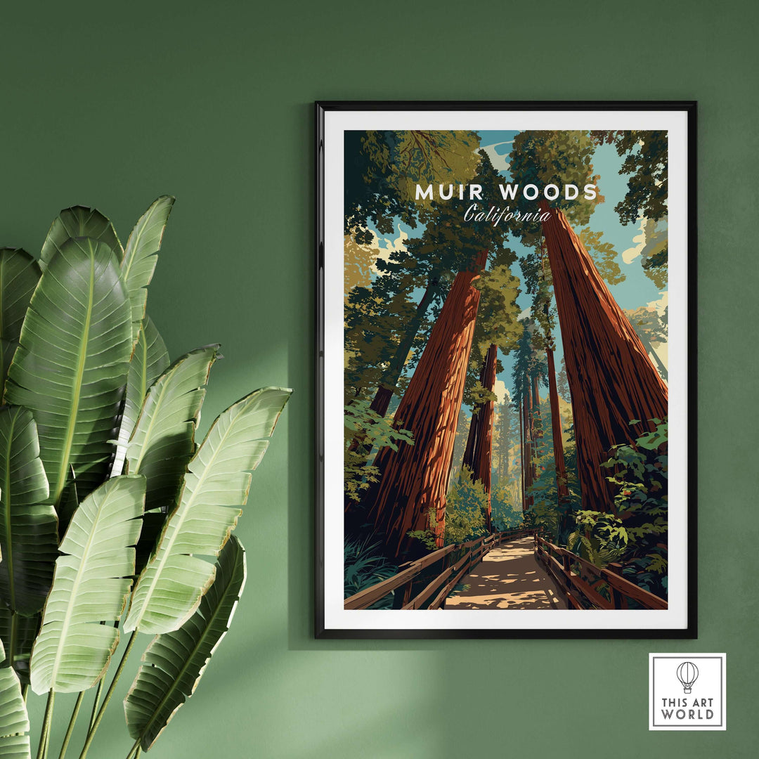 Muir Woods California Redwood Forest trail print showcasing giant trees and serene pathways in a framed art piece.
