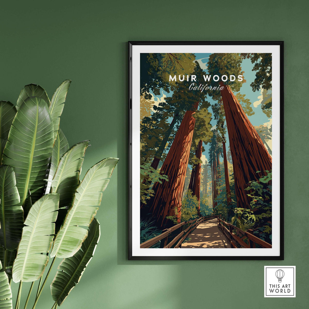 Muir Woods California Redwood Forest Trail Print - Giant Trees Wall Art featuring towering redwoods and serene paths.