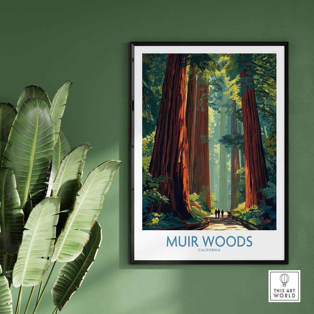 Muir Woods print showcasing towering redwoods, perfect wall art for nature lovers and fans of California National Parks.