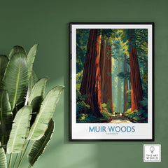 Muir Woods Print California - California National Park Wall Art featuring lush redwoods in serene forest setting.
