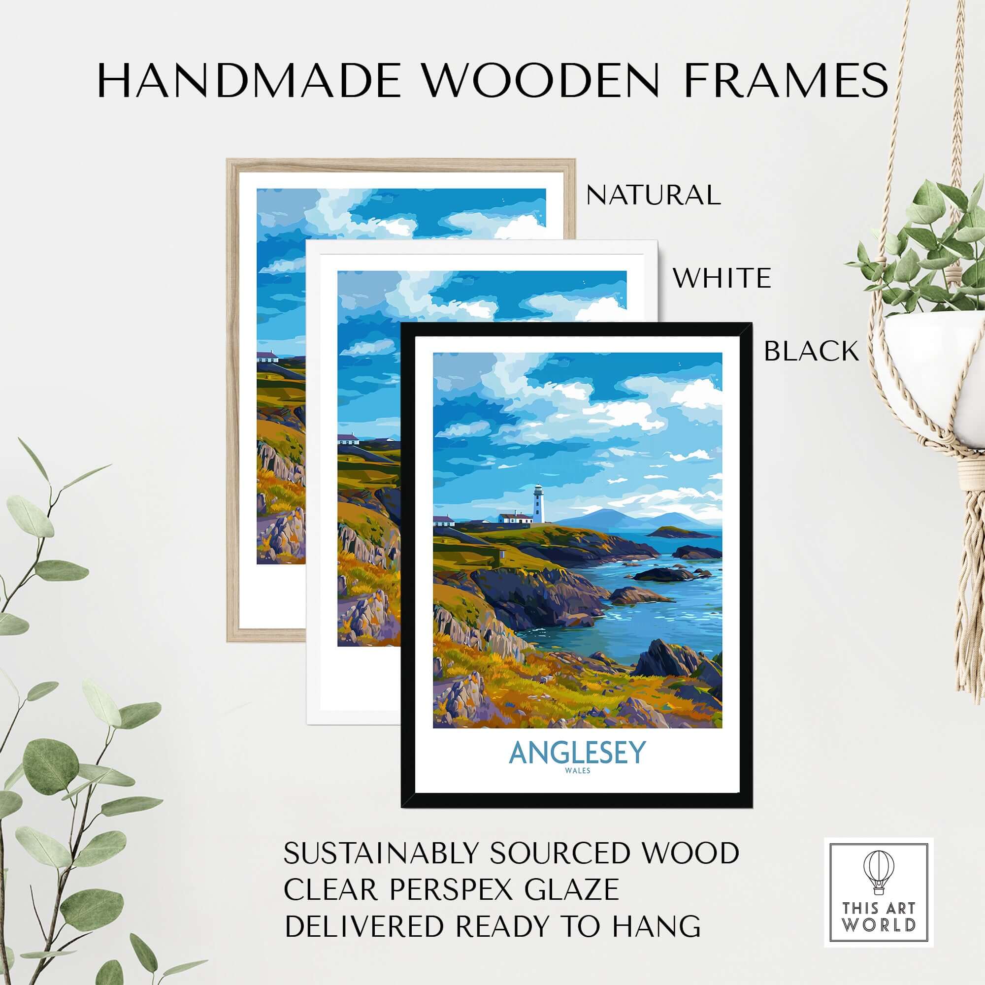 Anglesey Wales Print Grassy Cliffs Landscape - Welsh Island Travel Decor in handmade wooden frames.