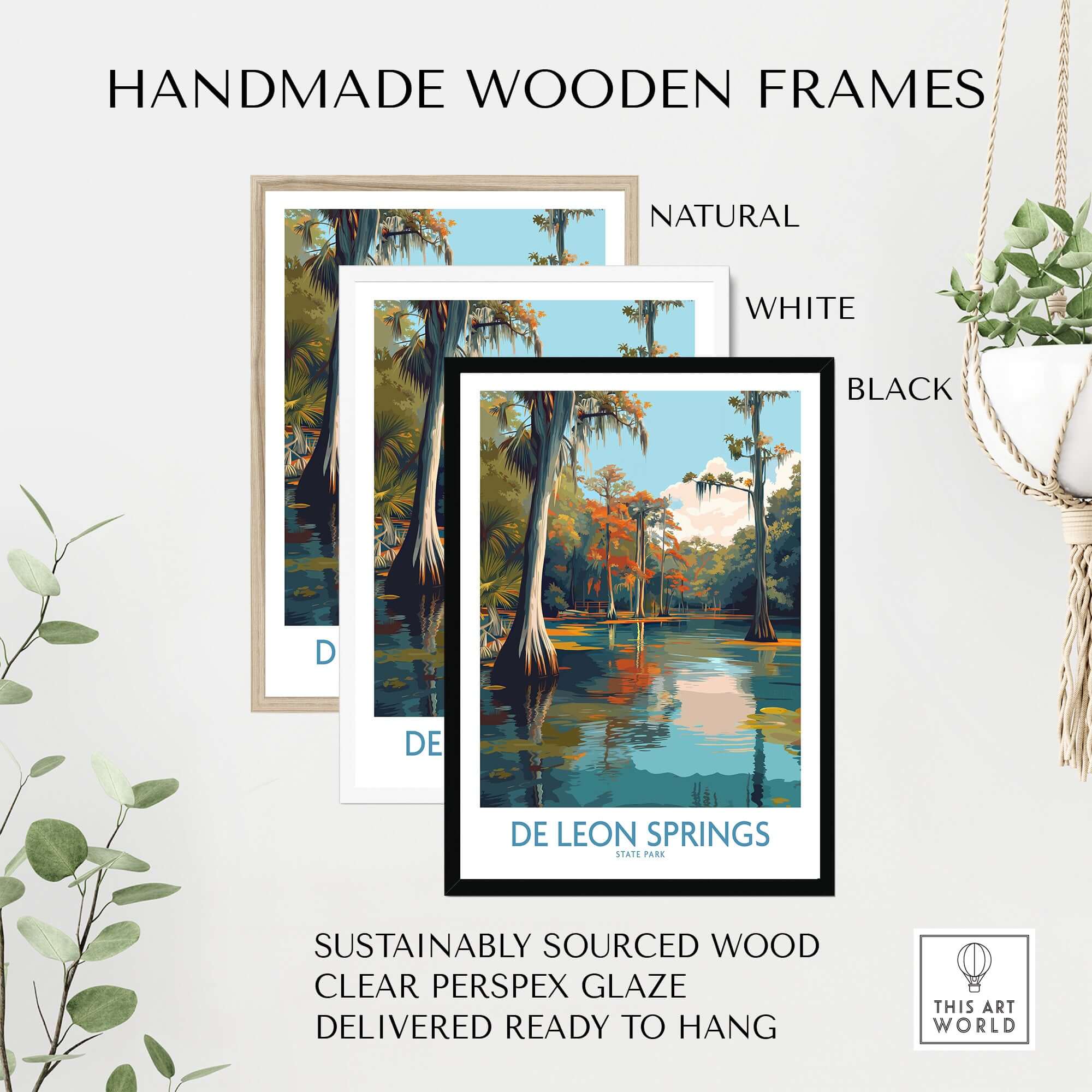 De Leon Springs Cypress Trees & Water Print - Florida Nature Decor framed in handmade wooden frames.