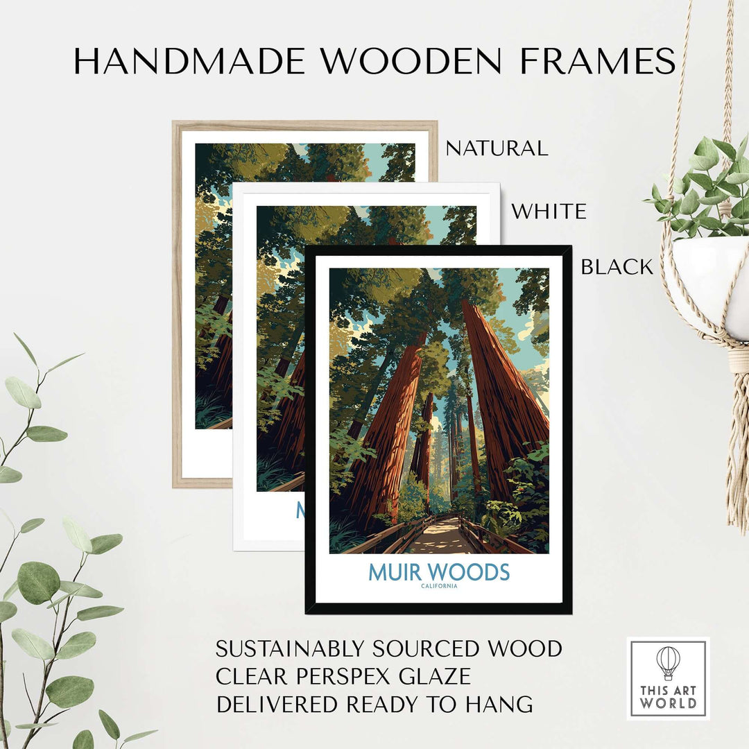 Handmade wooden frames in natural, white, and black styles for Muir Woods California poster, ready to hang.